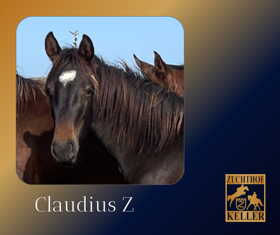 Claudius Z