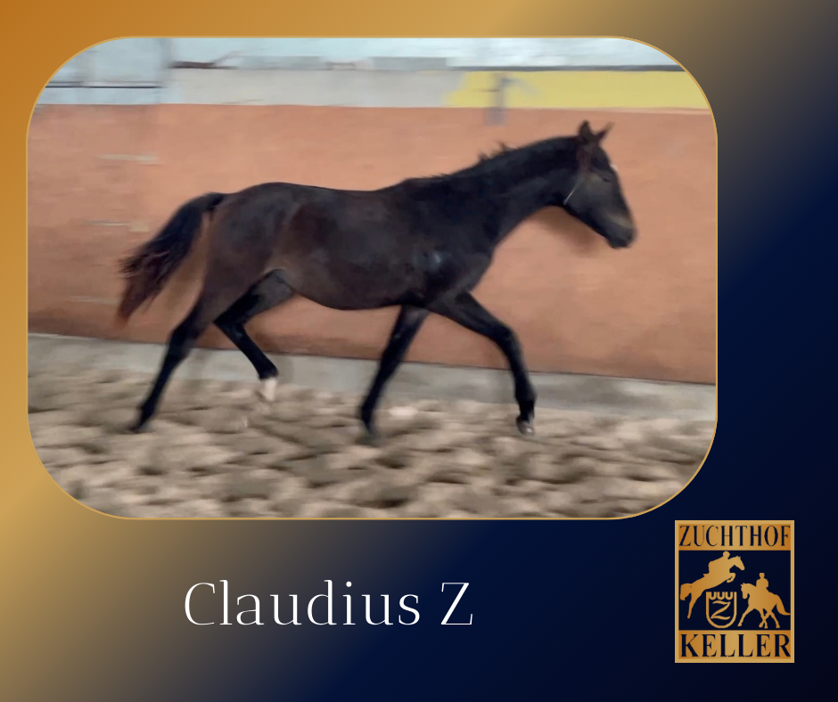 Claudius Z